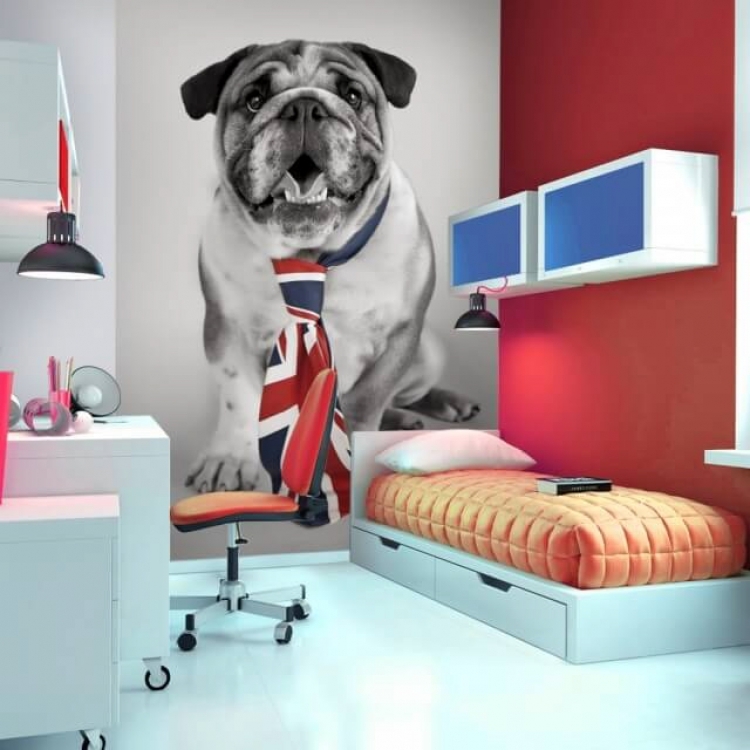 Room-Setting-DOG