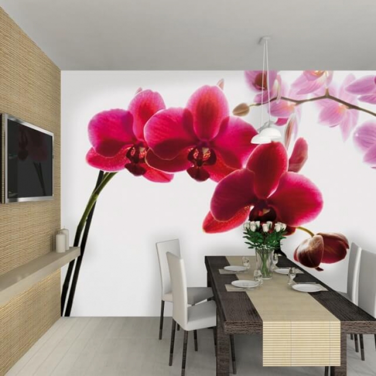 Room-Setting-ORCHID